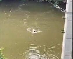 Guy drowns after jumping off bridge during argument with his girlfriend