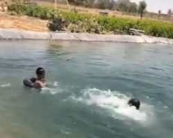 Guy drowns in pond in front of his siblings