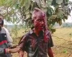 Indian man mauled by wild tiger