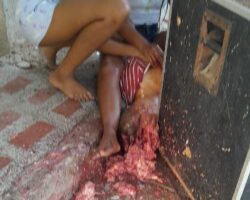 Massacre in the middle of celebration in La Guajira