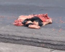 Pedestrian struck and crushed by truck