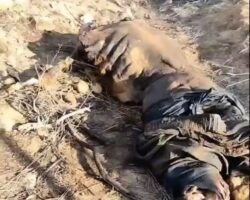 Severely decomposed body found in rural area of Petrolina, Brazil