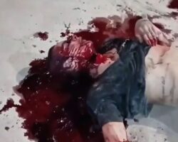 Stabbed to death shortly after being released from prison