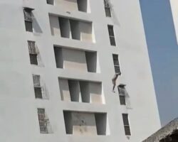 Venezuelan man jumps to his death