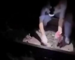Vietnamese man torn to pieces by train
