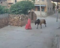 Woman in critical condition after being thrown against wall by bull