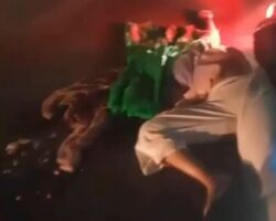 Woman on moped suffered crushed skull in accident