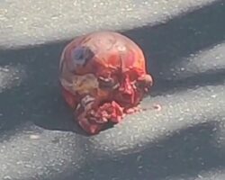 Woman’s skull ejected out of her head
