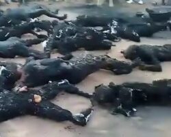 45 dead after tanker explosion in Nigeria