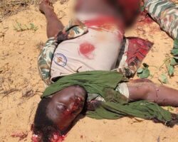 Aftermath of attack by African branch of ISIS on Christian village