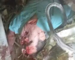 Aftermath of tragic traffic accident in Lajinha, Brazil