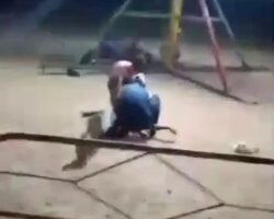 Chain carousel knocked him unconscious