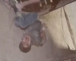 Cruel whipping for home burglar
