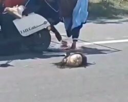 Decapitated Chinese woman after collision with harvester