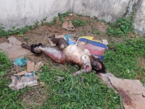 Decomposing female corpse found on abandoned lot