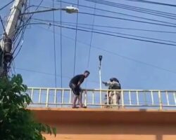 Desperate guy commits suicide by jumping from pedestrian overpass