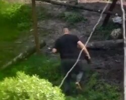 Gang leader neutralized by army sniper