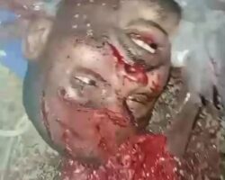 Gang member found shot in head and wrapped in plastic
