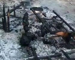 Group of scumbags set homeless man on fire