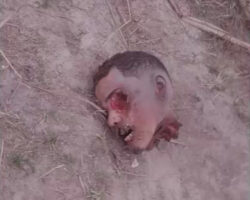 Guy found decapitated on farm