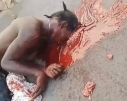 Jamaican criminal shot dead while attempting to escape