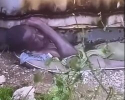 Jamaican man crushed by container during hurricane