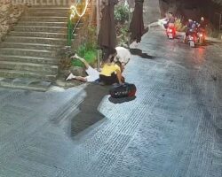 Man lies motionless after falling over the stairs