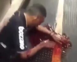 Man trapped between platform and train