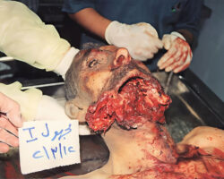 Massacre of Palestinians in Jenin