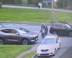 Mother and her children hit by car while crossing street