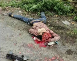 Motorcyclist gets his skull crushed by truck