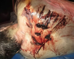 Murder of Travis Alexander