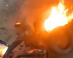 Nigerian thief burned alive #4