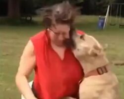 Pitbull bites grandma in face during ice bucket challenge