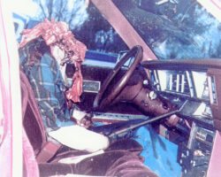 Suicide by shotgun inside car