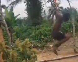 Torture of guy by “Pau de arara” method