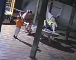 Two-year-old boy shoots dead his mother