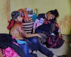 Two young men and woman massacred in house