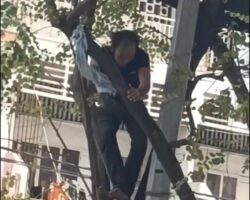 Unsuccessful suicide attempt in the middle of busy street