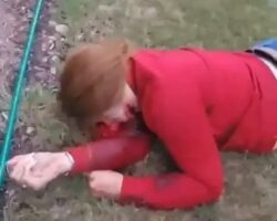 Woman murdered by her partner during domestic dispute