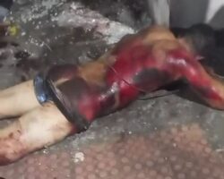 Zoophile beaten to death by gangsters