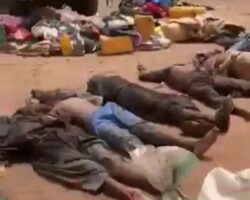 Armed forces of Niger eliminated more than 200 terrorists