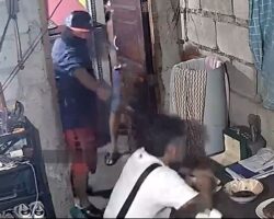 Assassinated at home during dinner