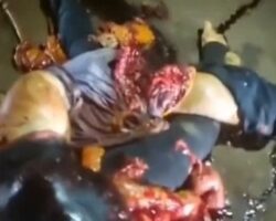 Brazilian motorcycle couple died in collision with truck