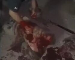 Cartel member butchered alive by his rivals