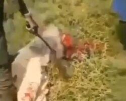 Christian guy beheaded with machete by Boko Haram terrorists