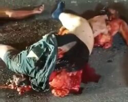 Delivery worker fatally crushed by truck