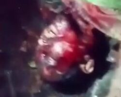 Disemboweled man found in wooded area