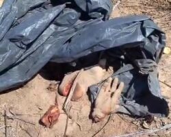 Dismembered man found in plastic bag