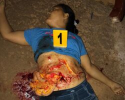 Drugged son disemboweled his mother